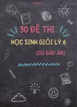 Bộ 30 Đề thi học sinh giỏi Lý 6 (Có đáp án)